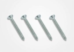 1-Comprehensive-Introduction-On-Composite-Deck-Screws.webp.jpeg
